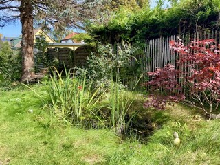 Casa per le vacanze Bergen (Holland) Registrazione all'aperto 5