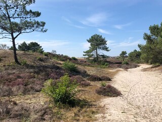 Casa per le vacanze Bergen (Holland) Ambiente 27