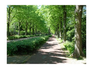 Casa per le vacanze Bergen (Holland) Ambiente 28