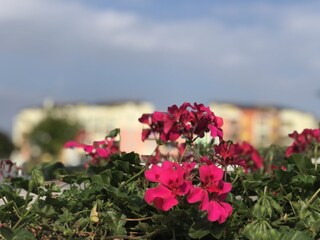 Appartamento Caorle Ambiente 12