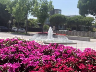 Casa per le vacanze Porto Santa Margherita Ambiente 12