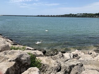 Appartamento Porto Santa Margherita Ambiente 21