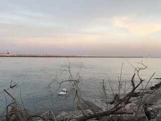 Appartamento Porto Santa Margherita Ambiente 14