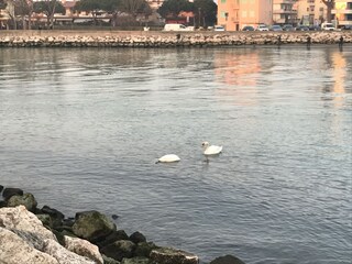 Appartamento Porto Santa Margherita Ambiente 15