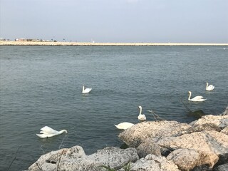 Appartamento Porto Santa Margherita Ambiente 16