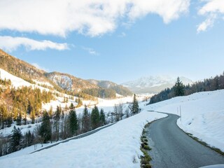 Casa per le vacanze Hochfilzen Ambiente 37