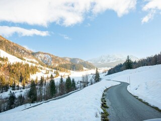 Ferienhaus Hochfilzen Umgebung 34