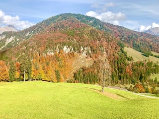 Vakantiehuis Hochfilzen Buitenaudio-opname 3