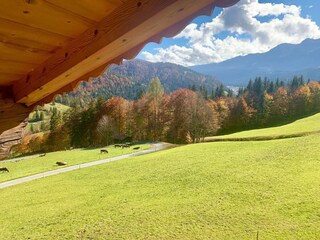 Ferienhaus Hochfilzen Außenaufnahme 9