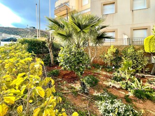 Apartment Vícar Außenaufnahme 6