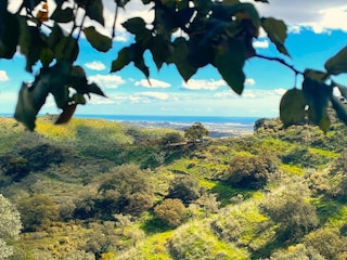 Villa Cartama Außenaufnahme 5