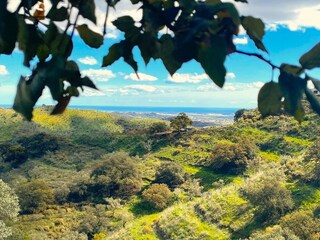 Villa Cartama Grabación al aire libre 4