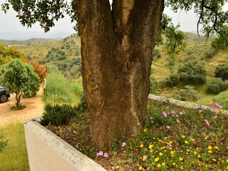 Villa Cartama Grabación al aire libre 17