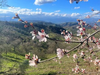 Villa Cartama Entorno 30