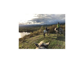 Casa vacanze Le Quartier Ambiente 35