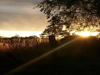 Casa vacanze Le Quartier Registrazione all'aperto 7