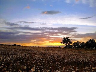 Casa de vacaciones Le Quartier Entorno 34