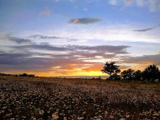 Holiday cottage Le Quartier Environment 35