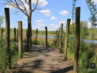 Vakantiehuis Noordwolde Omgeving 31