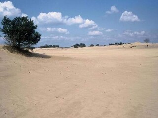 Vakantiehuis Noordwolde Omgeving 32