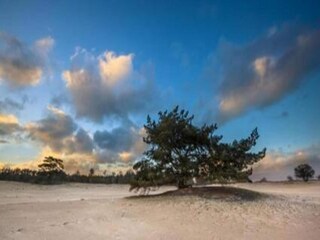 Casa per le vacanze Noordwolde Ambiente 37