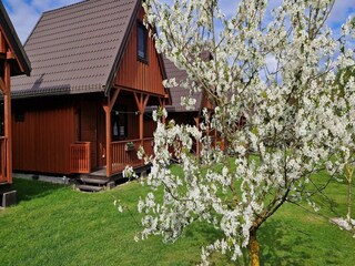Holiday park Kołczewo Outdoor Recording 3