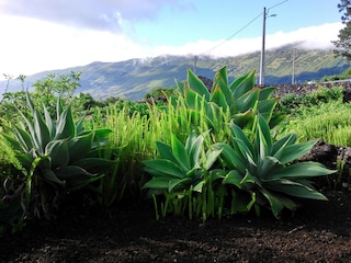 Ferienhaus Prainha Umgebung 23