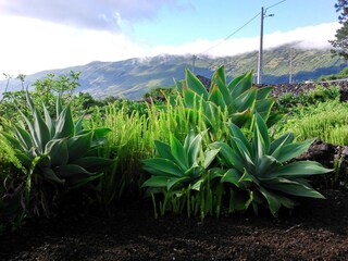 Vakantiehuis Prainha Omgeving 23