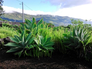 Maison de vacances Prainha Environnement 25