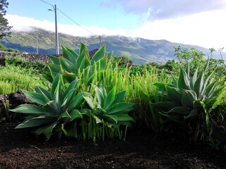 Vakantiehuis Prainha Omgeving 25