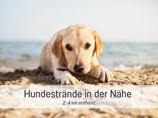 Appartamento per vacanze Steinberg (Angeln) Ambiente 30