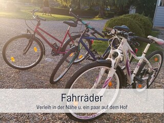 Vakantieappartement Steinberg (Angeln) Buitenaudio-opname 7