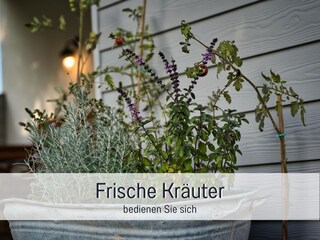 Vakantieappartement Steinberg (Angeln) Buitenaudio-opname 10
