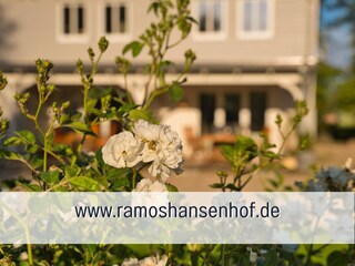 Vakantieappartement Steinberg (Angeln) Buitenaudio-opname 4