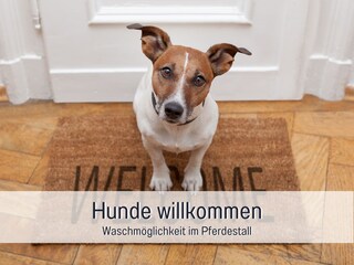 Appartamento per vacanze Steinberg (Angeln) Caratteristiche 15