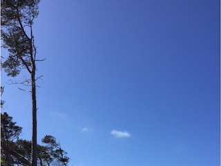 Ferienwohnung Kenz-Küstrow Umgebung 20