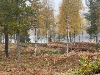 Holiday house Bodafors  8