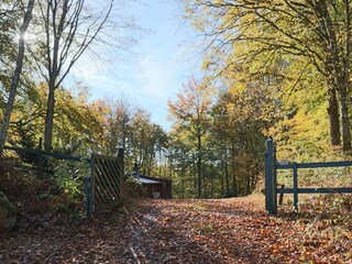 Vakantiehuis Dalshult Buitenaudio-opname 2