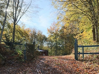 Vakantiehuis Dalshult Buitenaudio-opname 6