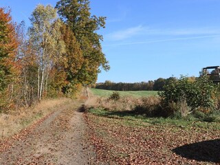 Holiday house Dalshult Outdoor Recording 2