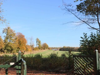 Ferienhaus Dalshult Außenaufnahme 5