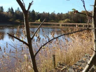 Holiday house Dalshult  26