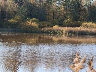 Holiday house Dalshult  23