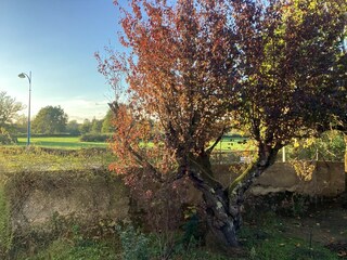 Vakantiehuis Lurcy-Lévis Buitenaudio-opname 5