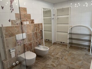 Appartamento per vacanze Waldkirch Caratteristiche 23