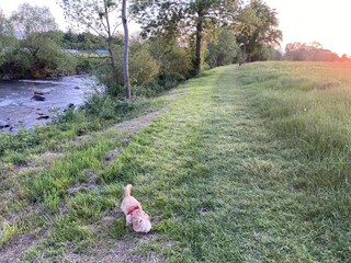 Vakantieappartement Waldkirch Omgeving 26