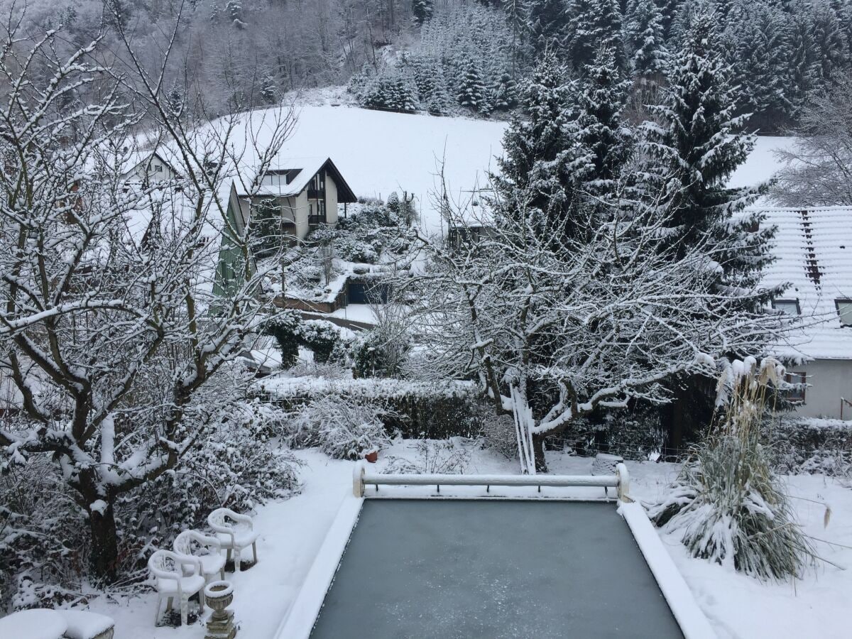 View of the garden and surroundings in the winter