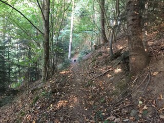 Appartamento per vacanze Waldkirch Ambiente 27