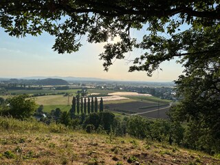 Vakantieappartement Waldkirch Omgeving 30