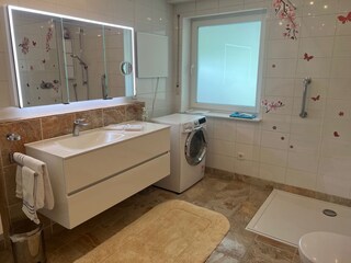 Appartamento per vacanze Waldkirch Caratteristiche 24